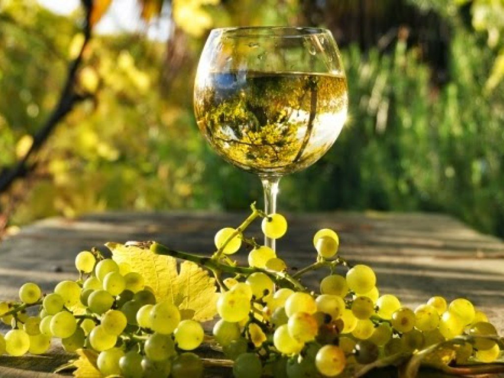 vino blanco www.elsol.com.ar