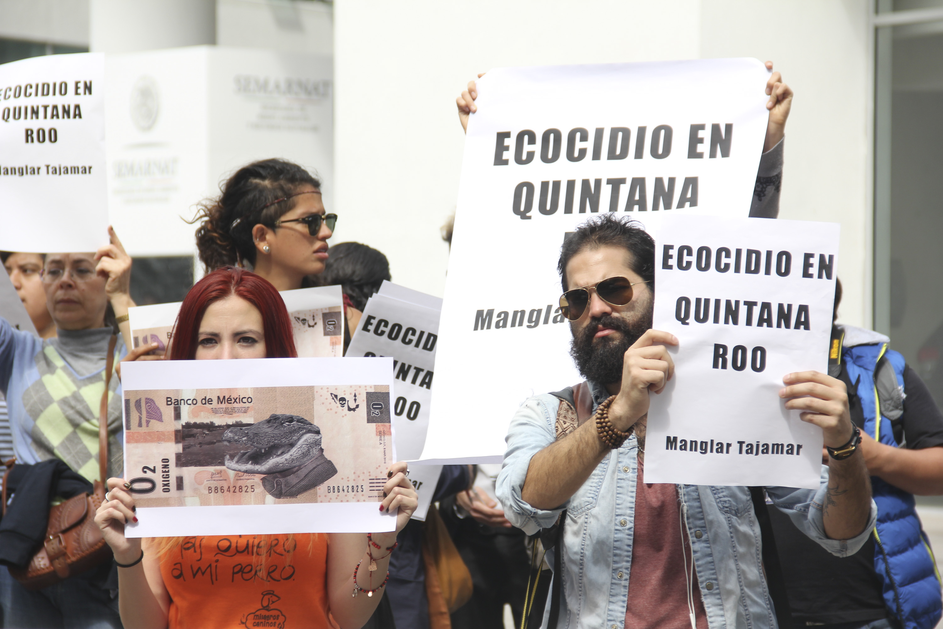 Ecocidio Quintana otra