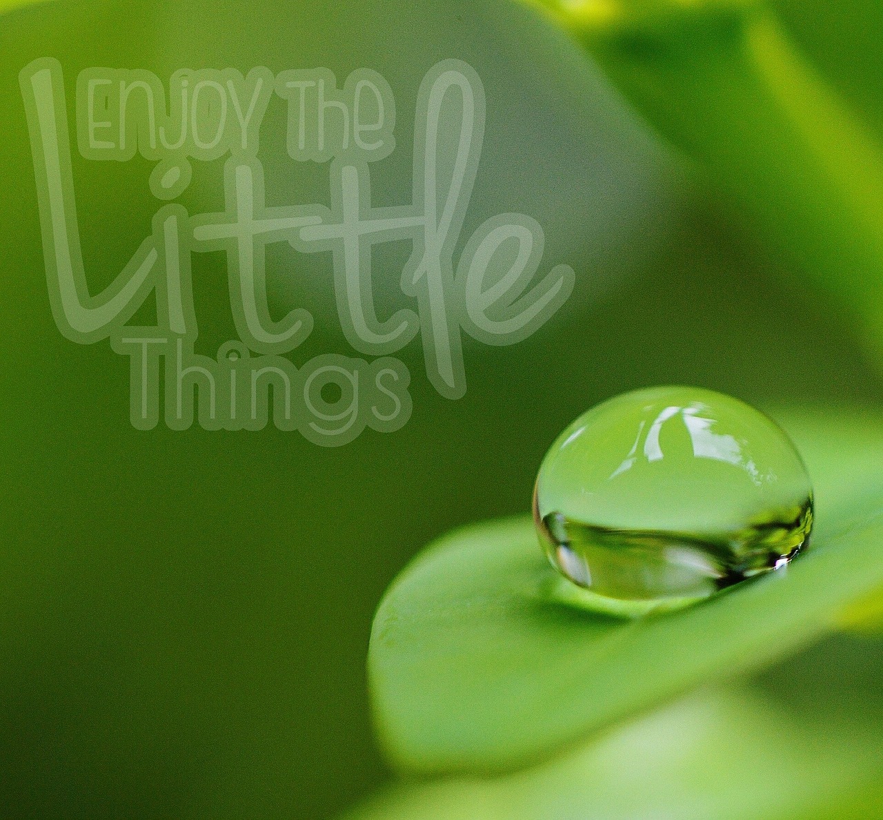 ecnapro motivación 5