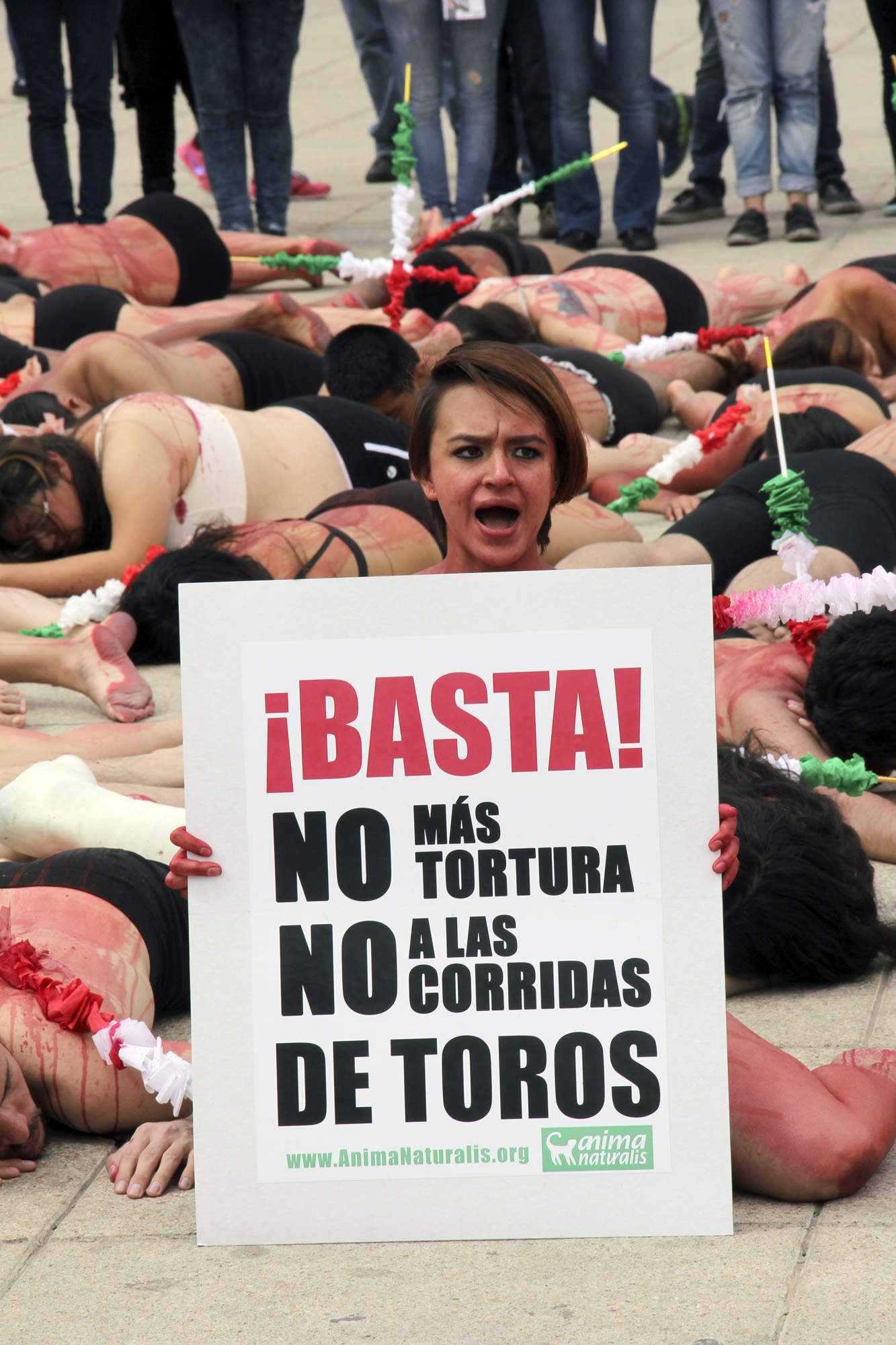 Decenas de integrantes de la ONG Anima Naturales exigen la prohibicion de las corridas de toros en Mxico al considerarlas un evento de tortura contra los toros y caballos y que fomenta el sufrimiento para los animales.