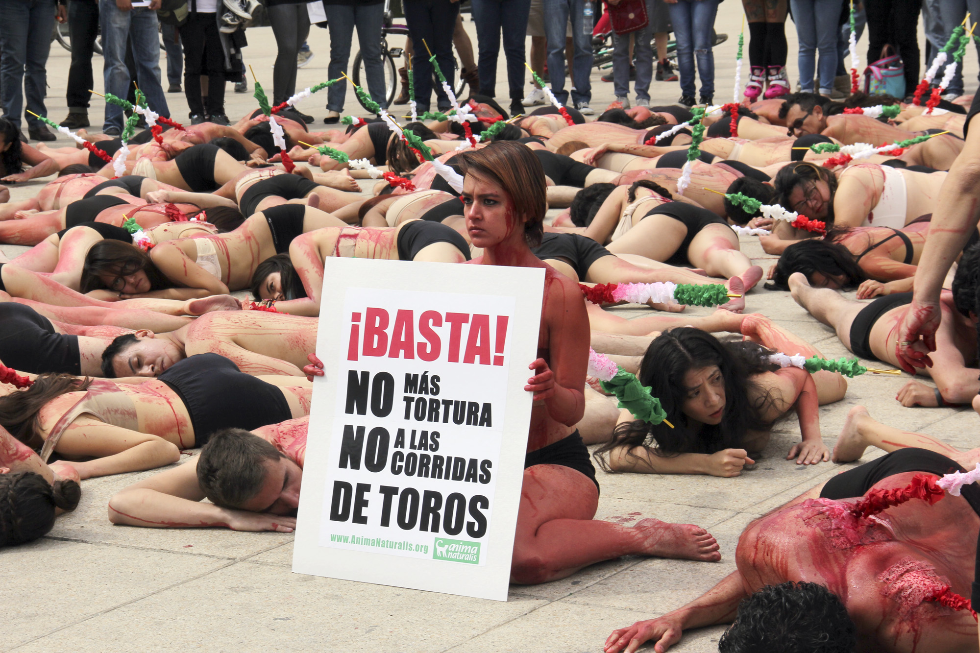 Decenas de integrantes de la ONG Anima Naturales exigen la prohibicion de las corridas de toros en Mxico al considerarlas un evento de tortura contra los toros y caballos y que fomenta el sufrimiento para los animales.