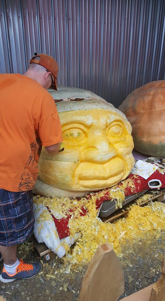 Siegel's Cotton Farm y sus calabazas gigantes.