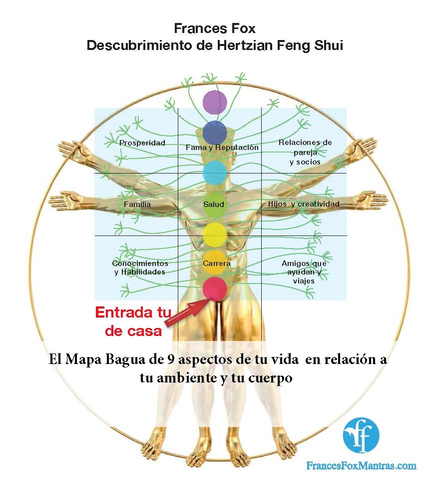 Banner bagua nueve aspectos de tu vida