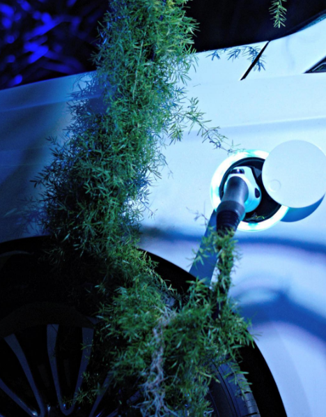 ford carros electricos