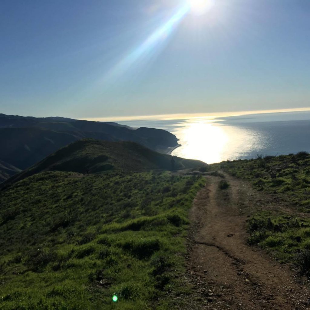 17038936_1442051895807833_7307828466651574024_o