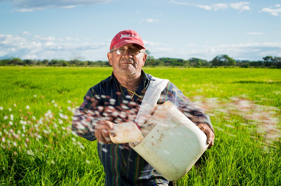 colombia y su cultivo de arroz