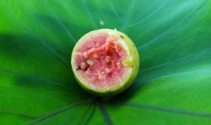 Heart of Guava