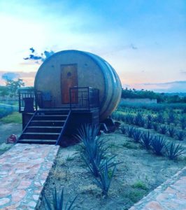 Hotel Matices: el hospedaje que rinde tributo al tequila