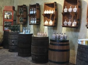 Hotel Matices: el hospedaje que rinde tributo al tequila