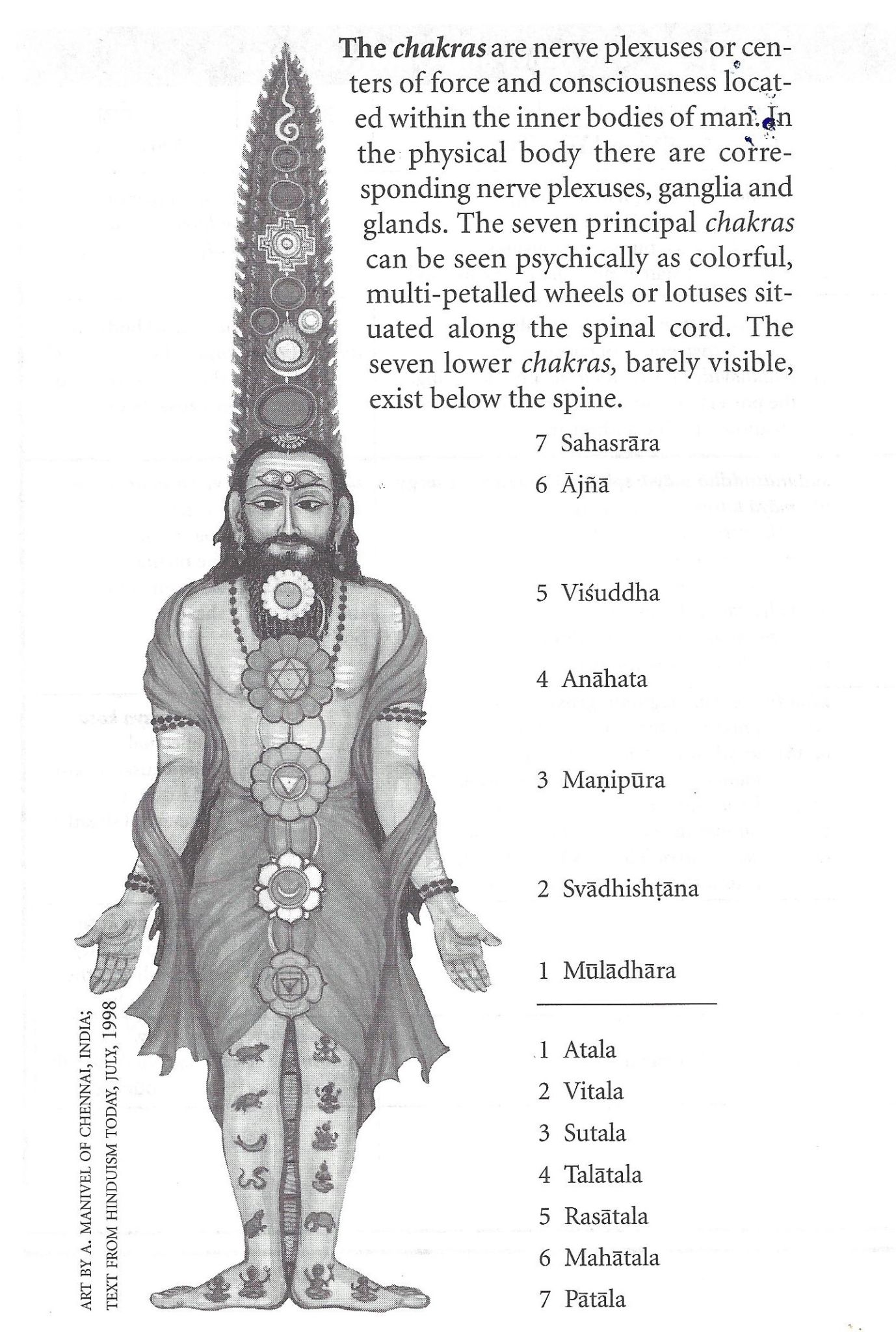 chakras lower and upper