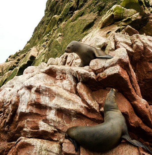 Conociendo Peru: Paracas, una experiencia que nutre los sentidos