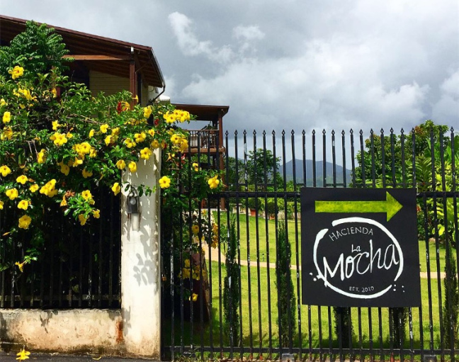 Hacienda La Mocha en Puerto Rico: un viaje en el tiempo