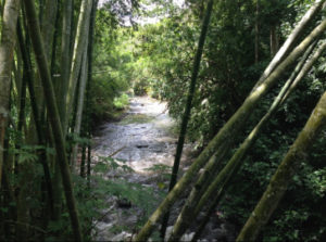 El Eje Cafetero colombiano: Patrimonio de la Humanidad