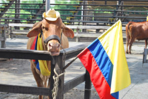 El Eje Cafetero colombiano: Patrimonio de la Humanidad