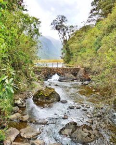 Ecuador: un terruño muy especial en América del Sur