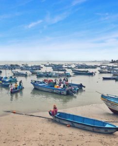 Ecuador: un terruño muy especial en América del Sur