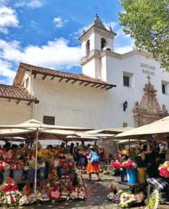 Ecuador: un terruño muy especial en América del Sur