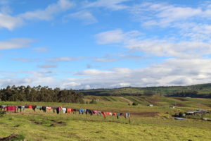 Quito: la Luz de América
