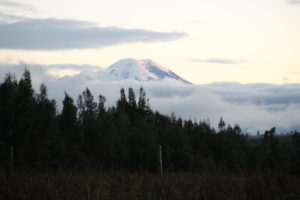 Quito: la Luz de América