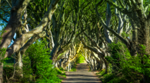 Belfast, una ciudad que ha superado sus heridas de guerra