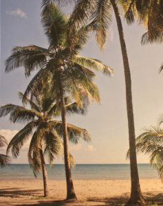 The Dining Traveler Guide to Puerto Rico: la ruta gastronómica de la Isla del Encanto