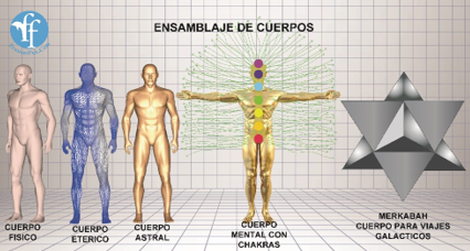 Emsamblaje de cuerpos