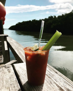 Un viaje inolvidable por los Cayos: Key Largo