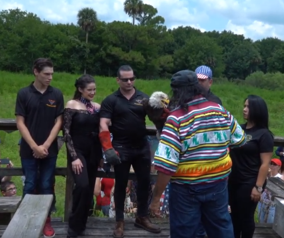 Aguila Calva liberada