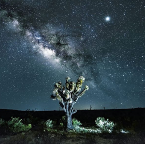 Wirikuta: el lugar donde nació el mundo