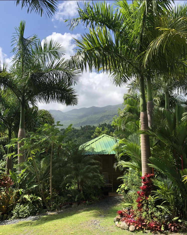 Yuquiyú Tree Houses: una experiencia única entre nubes