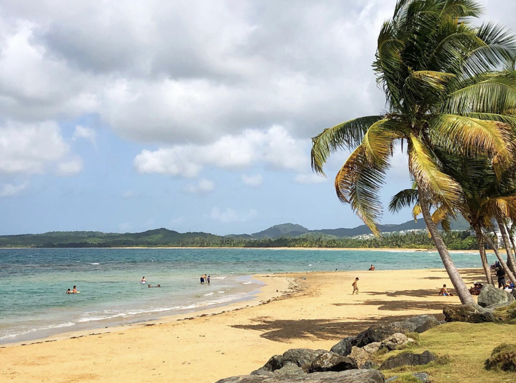 Yuquiyú Tree Houses: una experiencia única entre nubes