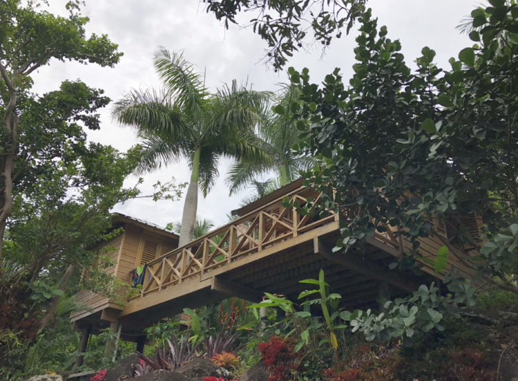 Yuquiyú Tree Houses: una experiencia única entre nubes
