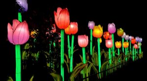 Jungle Island cobra protagonismo con "Luminosa, Festival of Ligths"