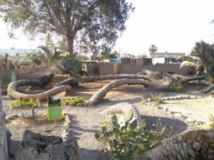 Ica: la grandeza del desierto peruano