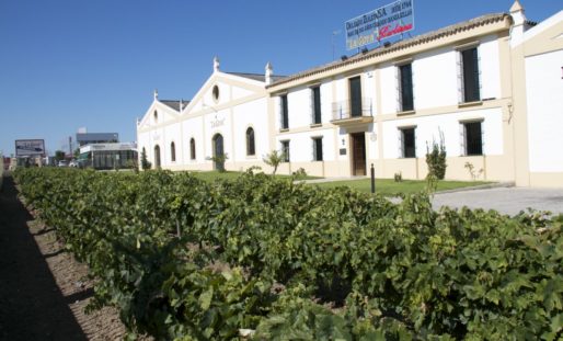 Sanlúcar de Barrameda: sus múltiples atractivos