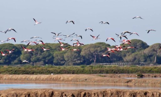 Sanlúcar de Barrameda: sus múltiples atractivos