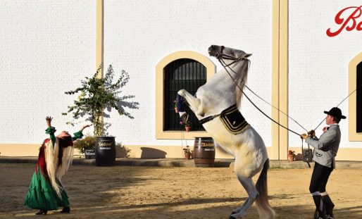 Sanlúcar de Barrameda: sus múltiples atractivos