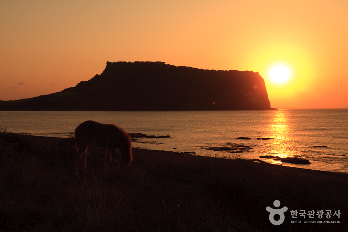 Fitur 2020: El mundo a tus pies